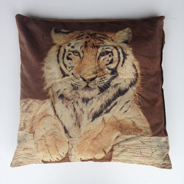CUSHION, Animal Print - Tiger Picture